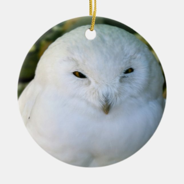 Décoration En Céramique Hibou des neiges (Devant)