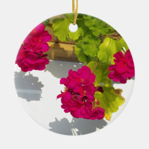 Décoration En Céramique HOt fleurs florales roses Géranium rose