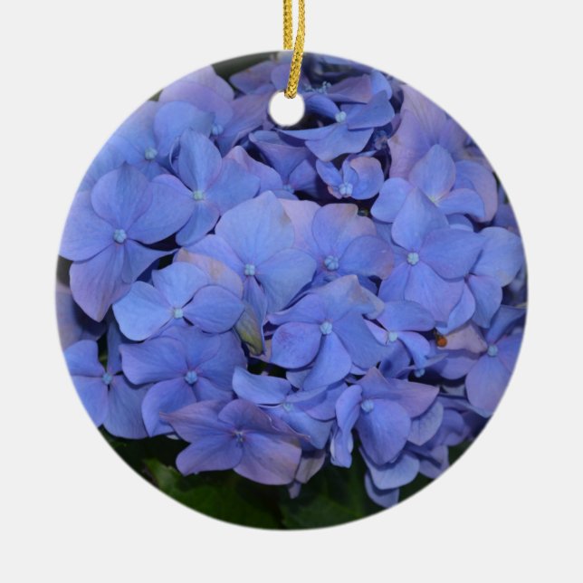 Décoration En Céramique Hydrangea macrophylla violette rustique (Devant)