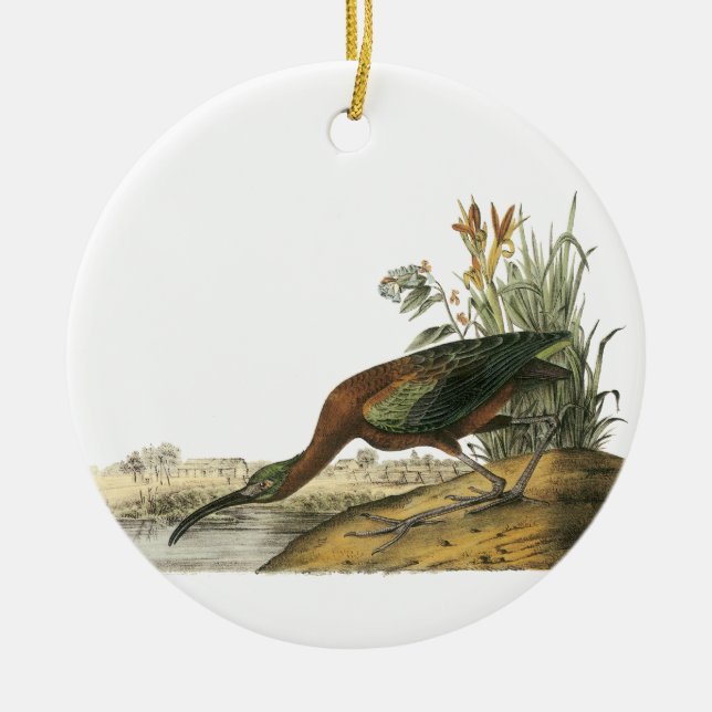Décoration En Céramique IBIS brillant, John Audubon (Devant)