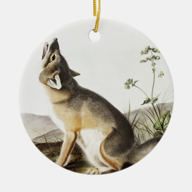 Décoration En Céramique Illustration de Fox (Vulpes velox) (Devant)