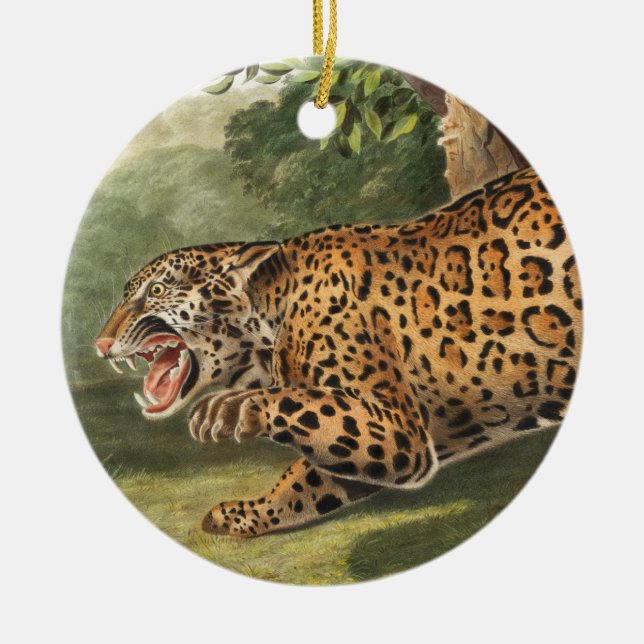 Décoration En Céramique Illustration de Jaguar (Felis onca) (Devant)