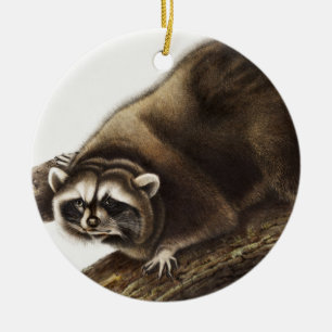 Décoration En Céramique Illustration du raton laveur (Procyon lotor)