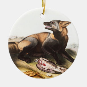 Décoration En Céramique Illustration du renard croisé américain (Canis vul