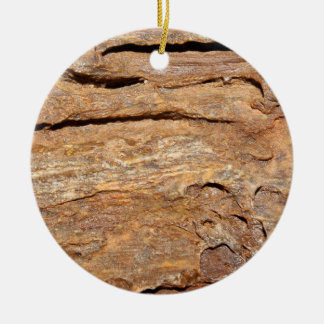 Décoration En Céramique Image de bois fossilisé