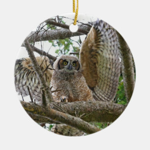 Décoration En Céramique Image de hibou de bébé