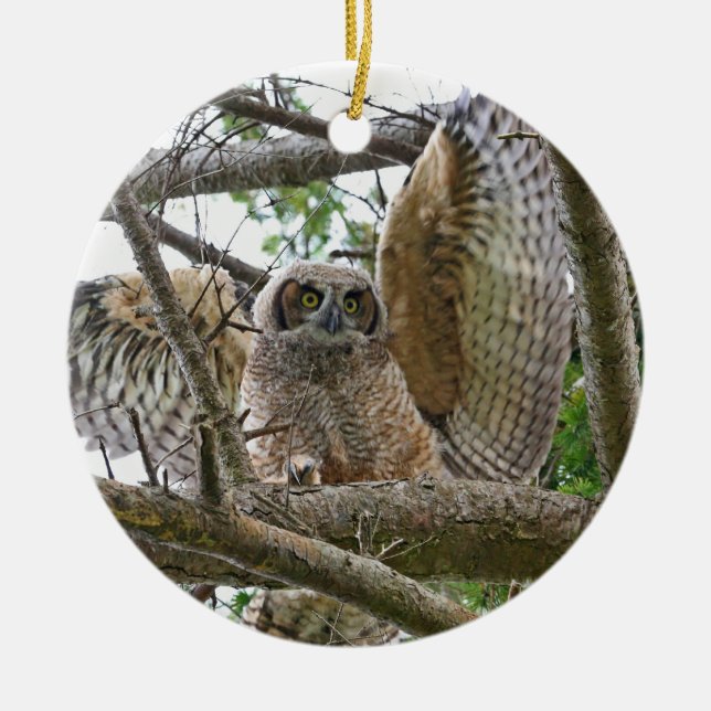 Décoration En Céramique Image de hibou de bébé (Devant)