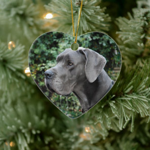 Décoration En Céramique Images de Dogue Allemand