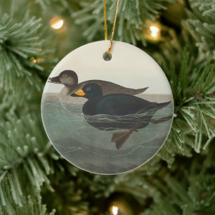 Décoration En Céramique Impression de Macreuse noire d'Audubon : Canard cô