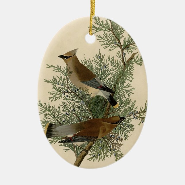 Décoration En Céramique Impression d'oiseau de John James Audubon Jaseur b (Devant)