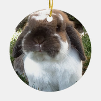 Décoration En Céramique Introduisez du furriness dans votre vie !