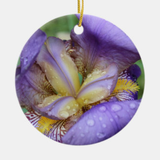 Décoration En Céramique Iris Violet (Iris Germanica)