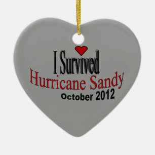 Décoration En Céramique J'ai survécu à l'ornement de Sandy d'ouragan