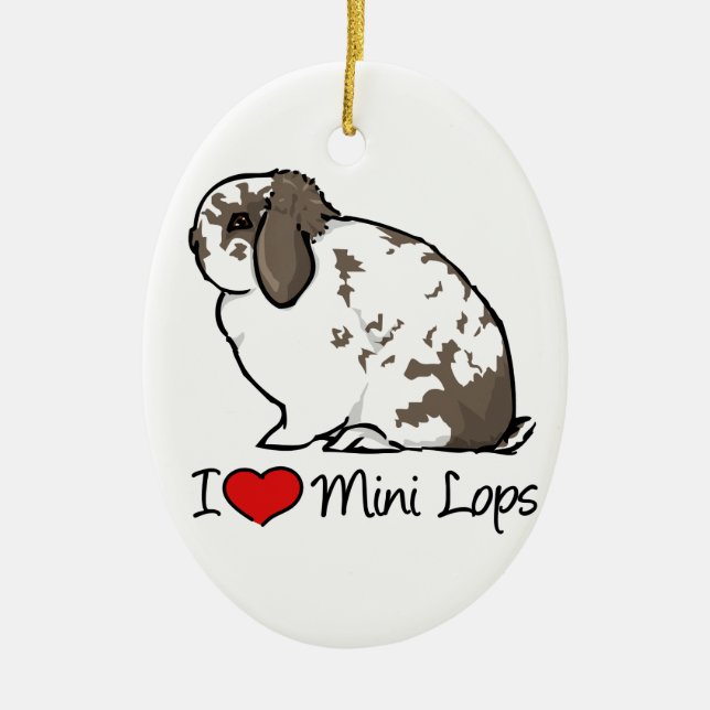 Décoration En Céramique J'aime de mini lapins de Lop (Devant)