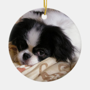 Décoration En Céramique Japanese_chin puppy.png