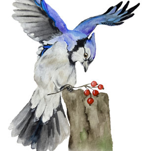 Décoration En Céramique Jay bleu d'oiseau de la forêt