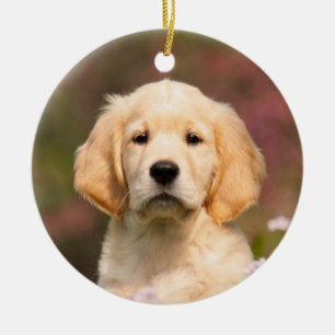 Décoration En Céramique Joli Golden Retriever Chien Puppy pendage Décor