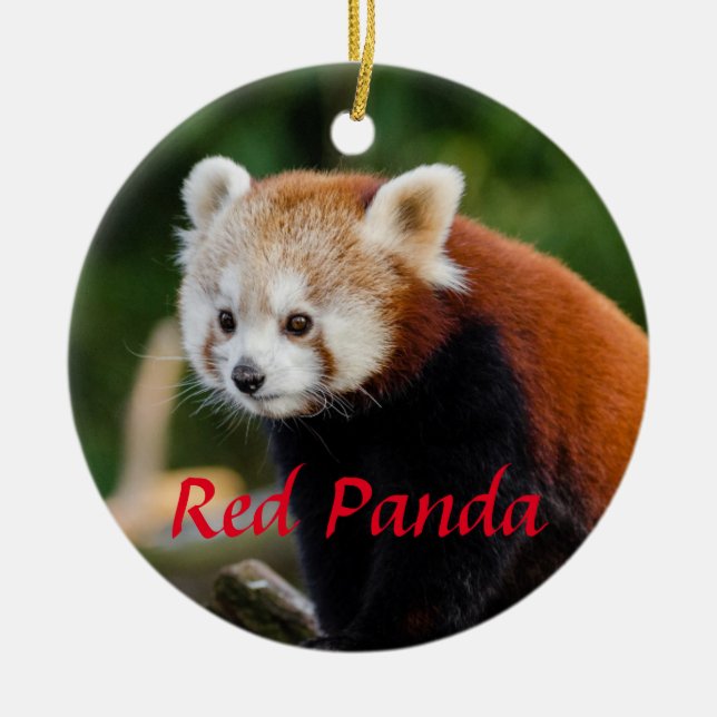 Décoration En Céramique Joli Panda roux Firefox (Devant)