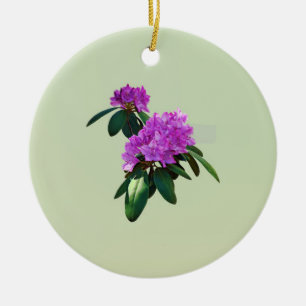 Décoration En Céramique Joli Rhododendron rose