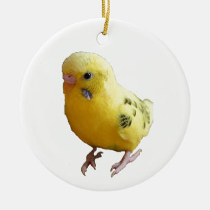Décoration En Céramique Jolie Parakeet Jaune Amical Animaux de compagnie P