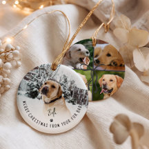 Joyeux Noël de votre bébé à fourrure 5 Photo Chien