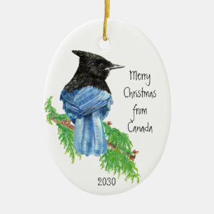 Décoration En Céramique Joyeux Noël du Canada Stellar Jay Bird