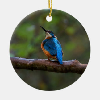 Décoration En Céramique Kingfisher sur une succursale