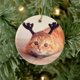 Décoration En Céramique kitten wearing a Christmas