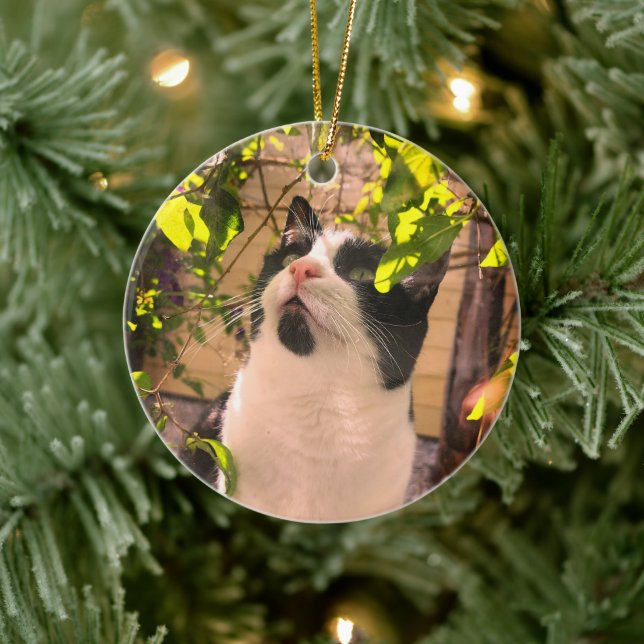 Décoration En Céramique Kitty (Arbre)