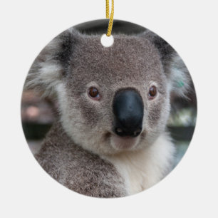 Décoration En Céramique Koala Australian