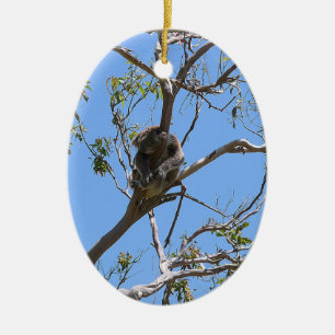 Décoration En Céramique Koala Nap
