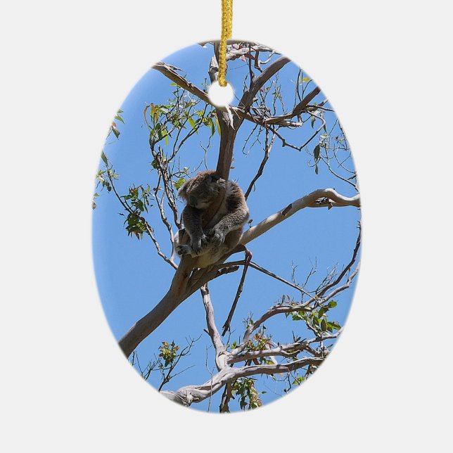 Décoration En Céramique Koala Nap (Devant)