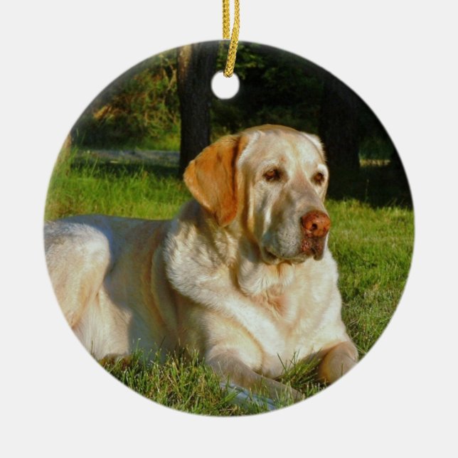 Décoration En Céramique Labrador retriever jaune (Devant)