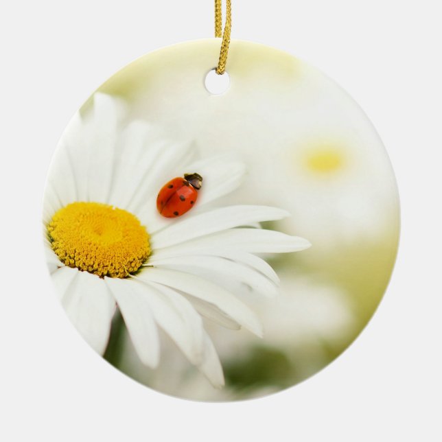 Décoration En Céramique Ladybug et une marguerite (Devant)