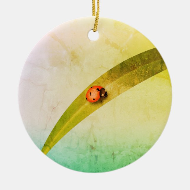 Décoration En Céramique Ladybug Leaf (Devant)