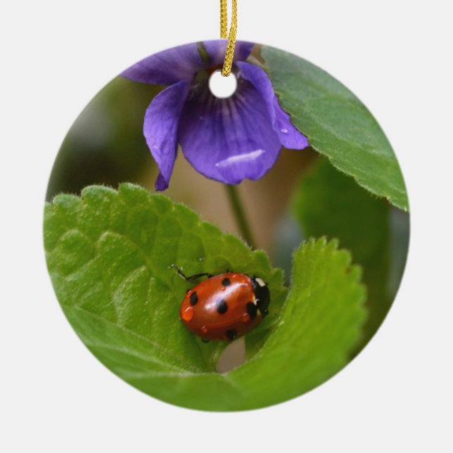 Décoration En Céramique Ladybug sur les fleurs de violet doux (Devant)