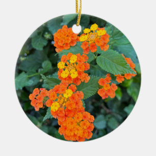 Décoration En Céramique Lantana