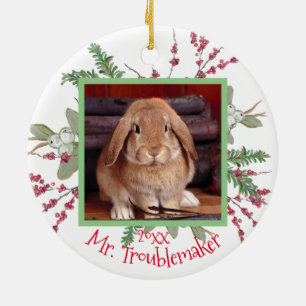Décoration En Céramique Lapin lapin animal de compagnie photo de Noël Pè