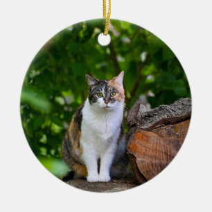 Décoration En Céramique Le Chat    