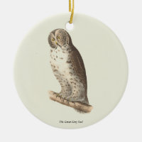 Le grand hibou gris (Strix nebulosa) NY Bird Image