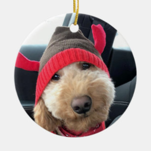 Décoration En Céramique Le mignon Goldendoodle dans sa tenue de Noël