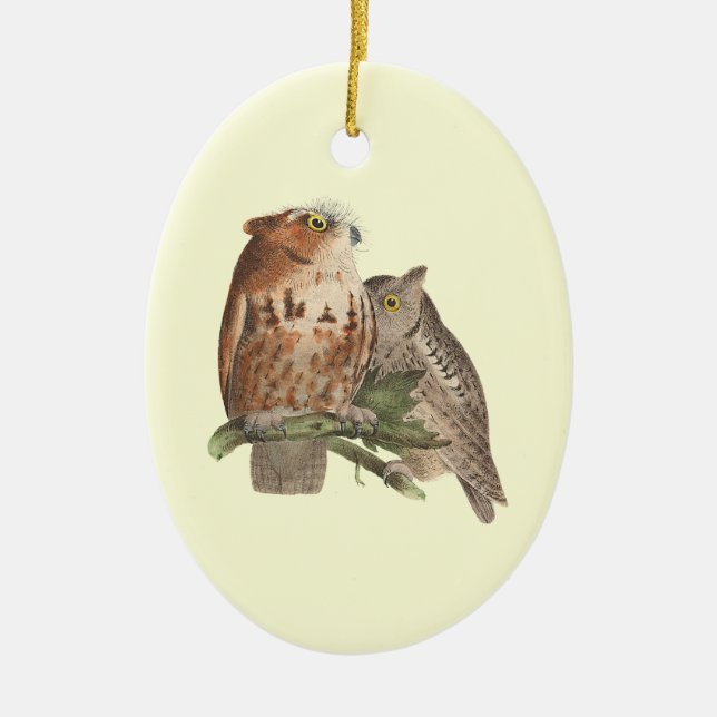 Décoration En Céramique Le Petit Chouette (Bubo asio) (Devant)
