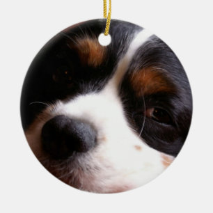 Décoration En Céramique Le Roi Charles Cavalier Spaniel Ornament