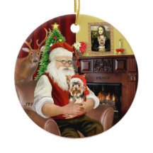 Le Yorkshire Terrier du Père Noël #17