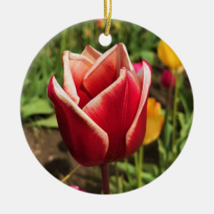 Décoration En Céramique Leen Van Der Mark Tulip, Oregon