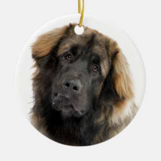 Décoration En Céramique Leonberger