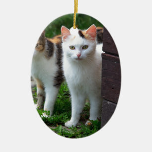 Décoration En Céramique Les chats jouent