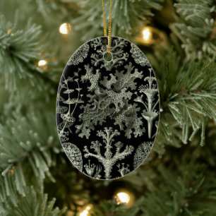 Décoration En Céramique Lichen par Ernst Haeckel, Plantes Vintages de la n