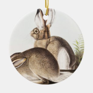 Décoration En Céramique Lièvre des Rocheuses de Townsend (Lepus Townsendii