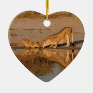 DÉCORATION EN CÉRAMIQUE LIONNE ET SON PETIT PRENANT UN REFLET DE BOISSON